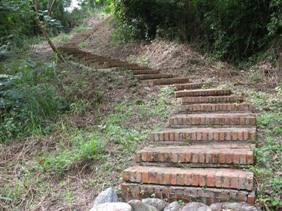 走進賞鳥步道，常能與珍稀鳥類相遇，處處有驚喜。