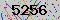 有驗證字元的圖片