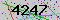 有驗證字元的圖片