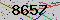 有驗證字元的圖片