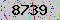 有驗證字元的圖片