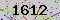 有驗證字元的圖片