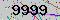 有驗證字元的圖片