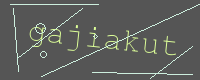 有驗證字元的圖片