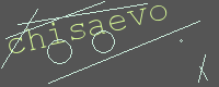 有驗證字元的圖片
