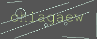 有驗證字元的圖片