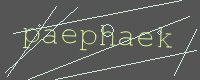 有驗證字元的圖片