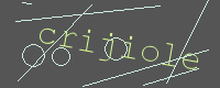 有驗證字元的圖片