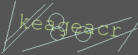 有驗證字元的圖片