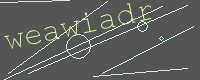 有驗證字元的圖片