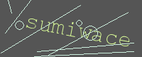 有驗證字元的圖片
