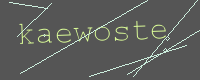 有驗證字元的圖片