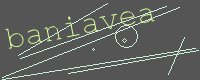 有驗證字元的圖片