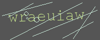 有驗證字元的圖片