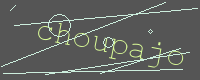 有驗證字元的圖片
