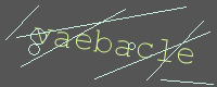 有驗證字元的圖片
