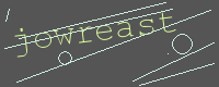 有驗證字元的圖片
