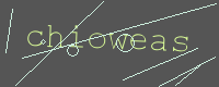 有驗證字元的圖片