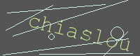 有驗證字元的圖片