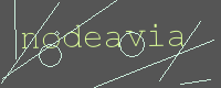 有驗證字元的圖片