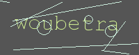 有驗證字元的圖片