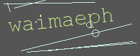 有驗證字元的圖片