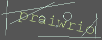 有驗證字元的圖片