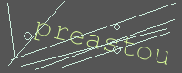 有驗證字元的圖片